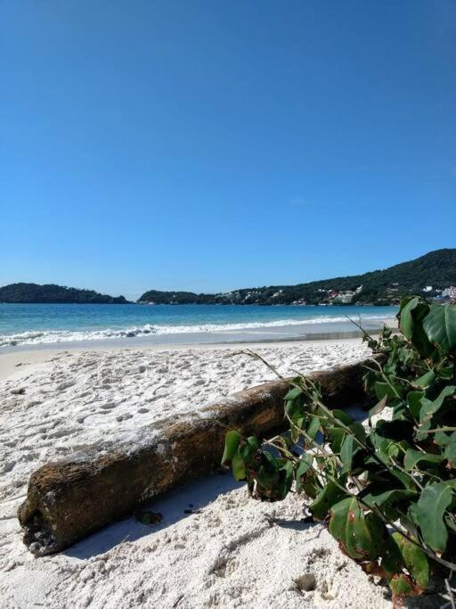 Apto Vista Mar -250Mts Da Praia بومبينهاس المظهر الخارجي الصورة